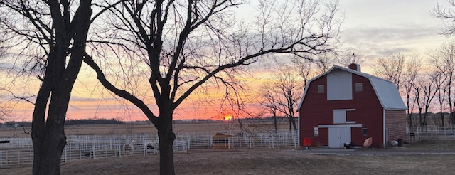 Red barn panoramic at sunset