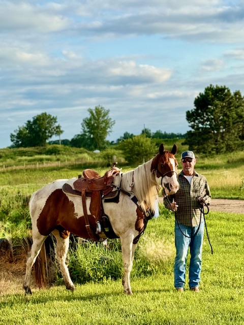 Handler with saddled horse